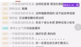 网络主播最新爆料网站,揭秘幕后真相，带你走进直播圈