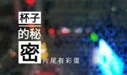 苏州酒店爆料视频最新版,揭秘奢华背后的惊人真相