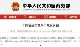 最新菲律宾爆料消息,揭秘惊天秘密事件！”
