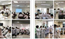 河南医科大学爆料事件最新,真相与反思并行