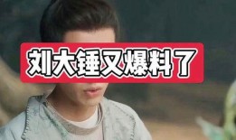 刘大锤最新爆料十个,十大劲爆新闻揭秘