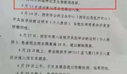 新冠病例最新爆料,揭秘疫情新动态与防控挑战