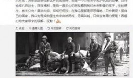 郑州爆料神器事件始末最新消息,揭秘网络舆论风波背后的真相