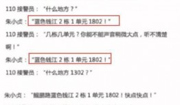 陕西小庄爆料案件最新,揭秘背后惊人真相